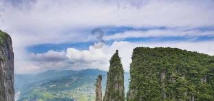 开启“人宠社交”视角，《可爱的旅行》为“宠物友好”解锁生活指南